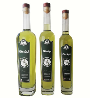 www.lavinciane.com