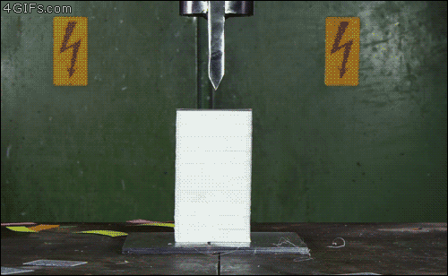 giphy.gif