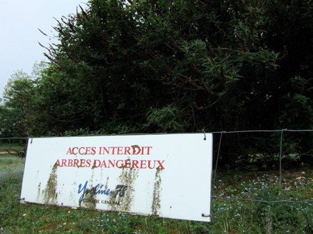 arbresdangereux-small.jpg