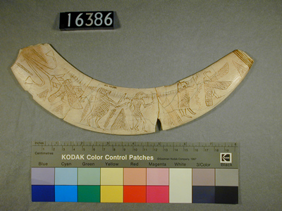 uc16386.jpg