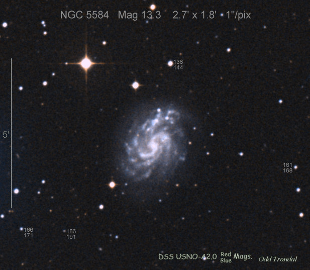 n5584.jpg