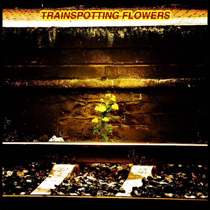 trainspottingflowers.jpg