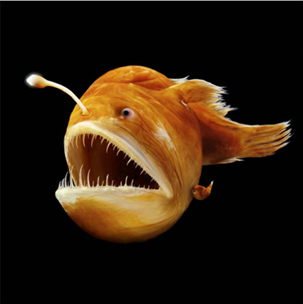 image_thumb_8165-ef68f.png