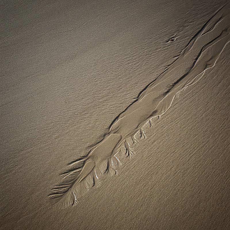 traces_sable_mer_16_MG.jpg