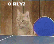tumblr_ln99x0BSWp1qf0qv2o1_250.gif