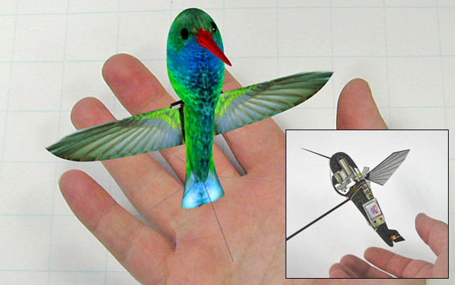 Nano-hummingbird.jpg.jpg