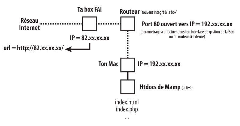 mamp_reseau.jpg