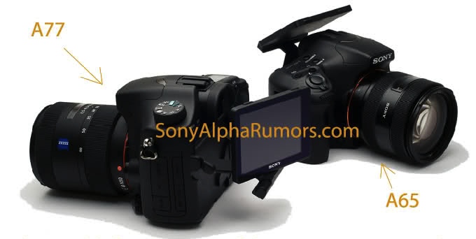 sony-a77-a65-cameras.jpg
