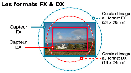 DX-FX-Capteur-bis1.jpg