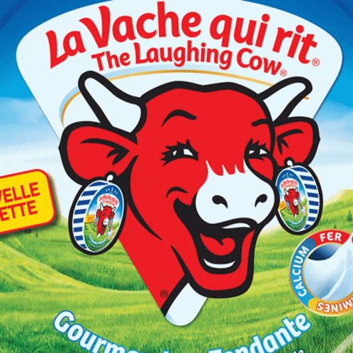 humour-cow.gif