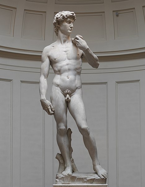 467px-Michelangelo%27s_David_2021_-_1.jpg