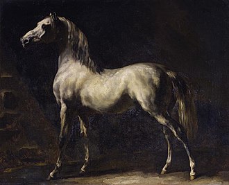 330px-G%C3%A9ricault-cheval-gris-Mus%C3%A9eRouen.jpg