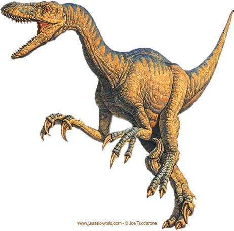 dinosaures_velociraptor.jpg