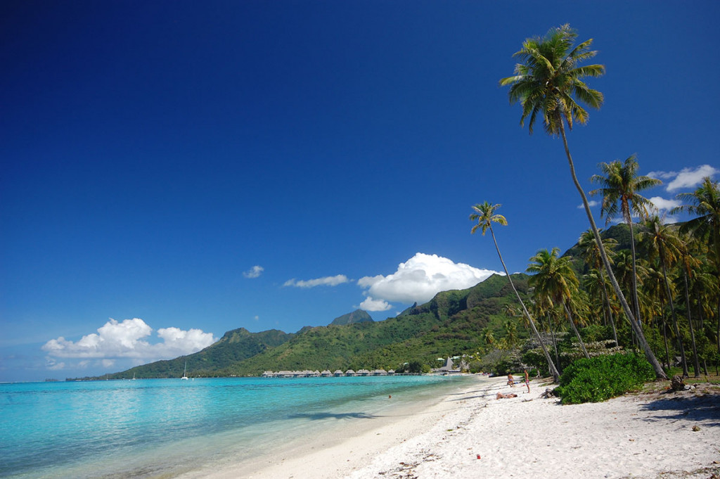 temae-beach-moorea-french-polynesia-1024x681.jpg